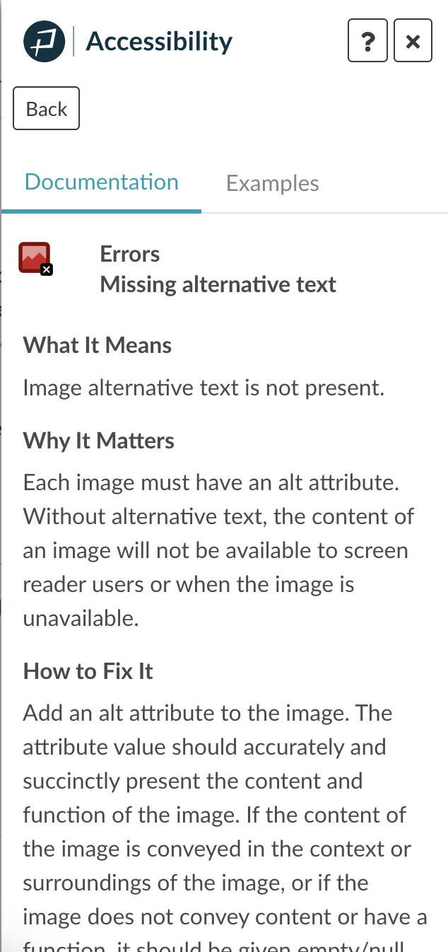 Accessibility Guide missing alternative text documentation.